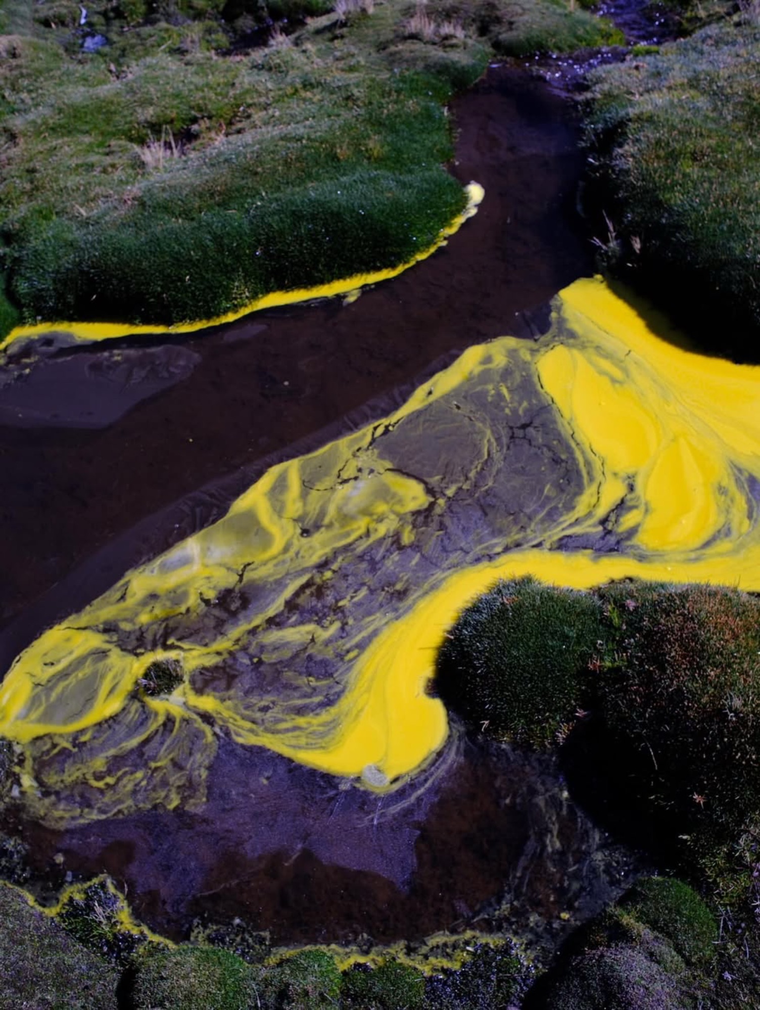 Emergencia ambiental: Camión derrama toneladas de aceite en Lago Chungará